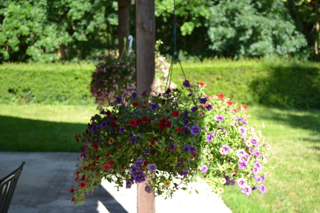 Le Moulin De Lusseau Bed and Breakfast Chef-Boutonne Buitenkant foto