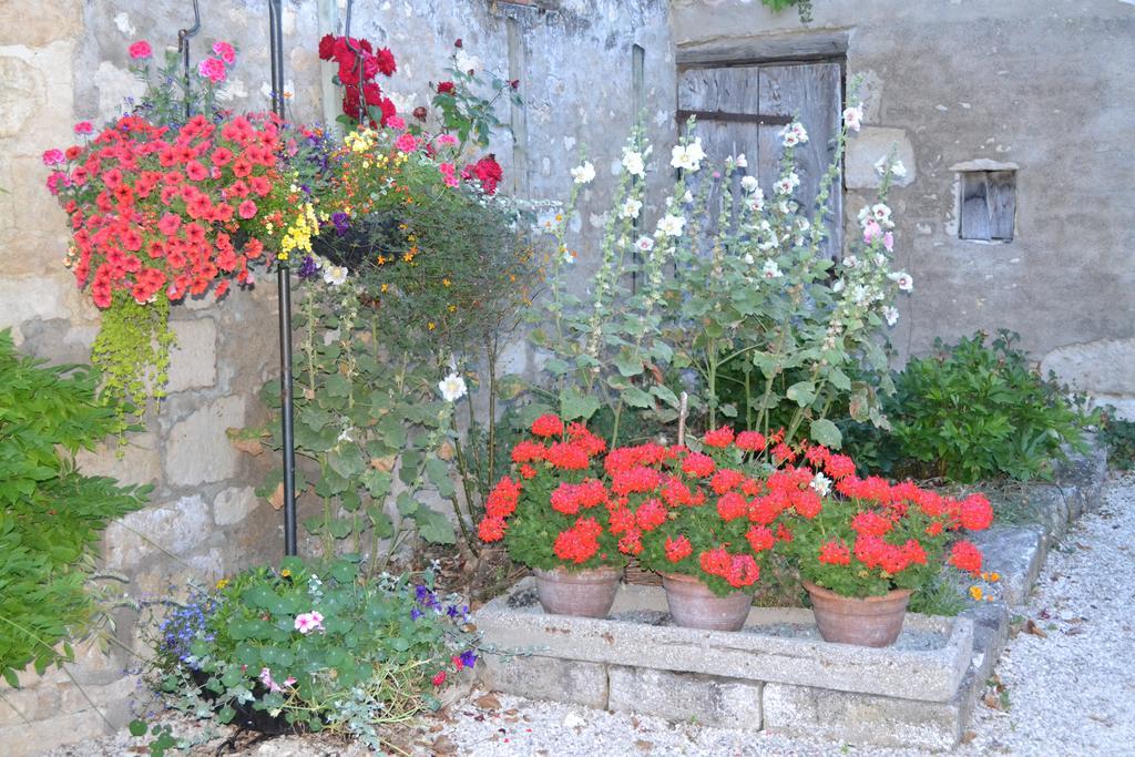 Le Moulin De Lusseau Bed and Breakfast Chef-Boutonne Buitenkant foto